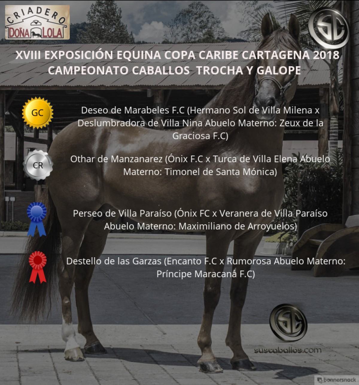 VÍDEO: Deseo Campeón, Othar Reservado, Trocha Y Galope, Copa Caribe Cartagena