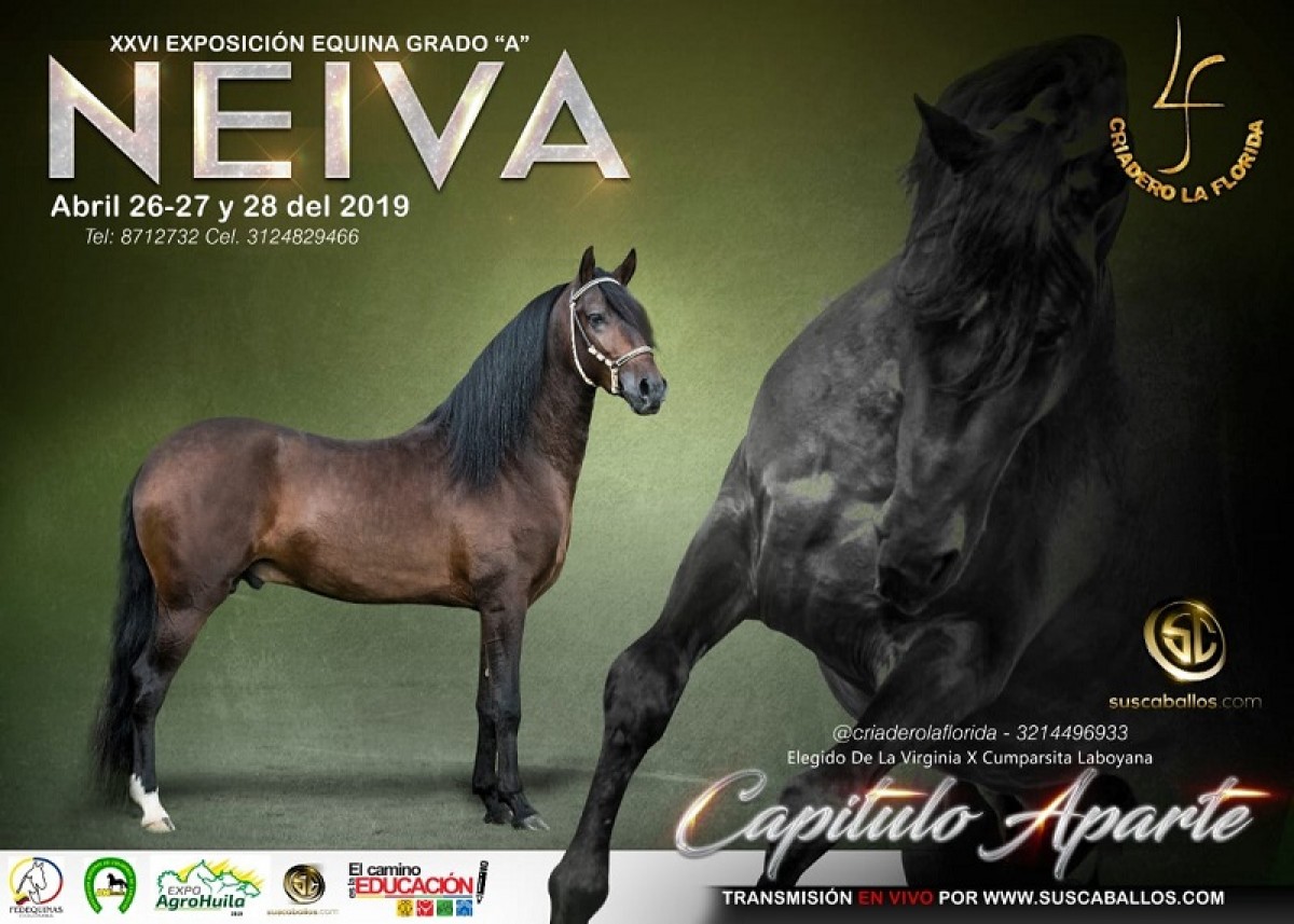 RESULTADOS XXVI Exposición Equina Grado A Neiva 2019 - TROTE Y GALOPE