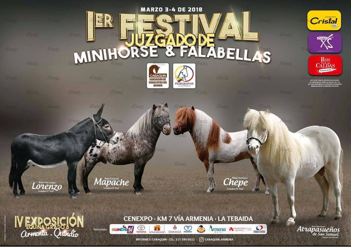 I Festival Juzgado de Minihorse Y Falabellas, 3 y 4 de Marzo - Armenia