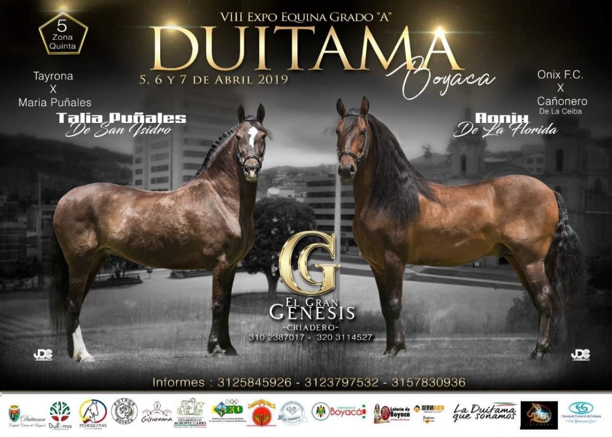 VIII Expo Equina Grado A, Duitama - Boyacá. 5 Al 7 de Abril