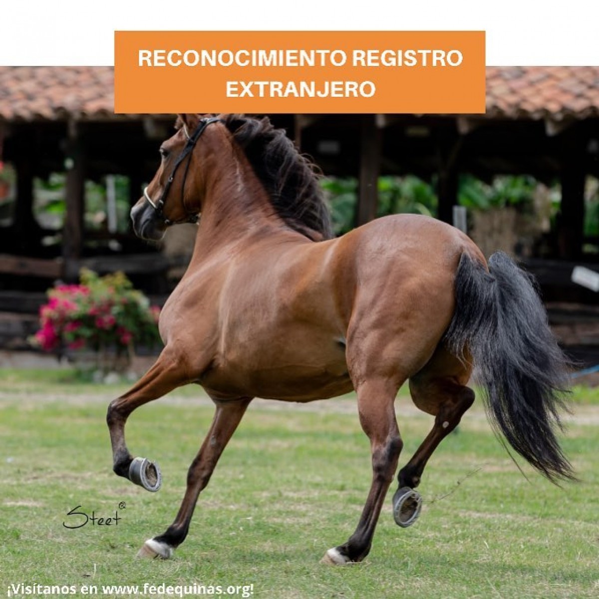 Fedequinas: Reconocimiento Registro Extranjero