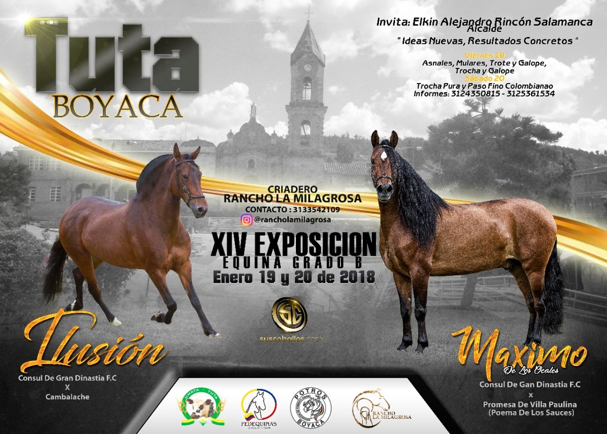 RESULTADOS XIV Exposición Equina Grado B Tuta - Boyacá 2018 - PASO FINO COLOMBIANO