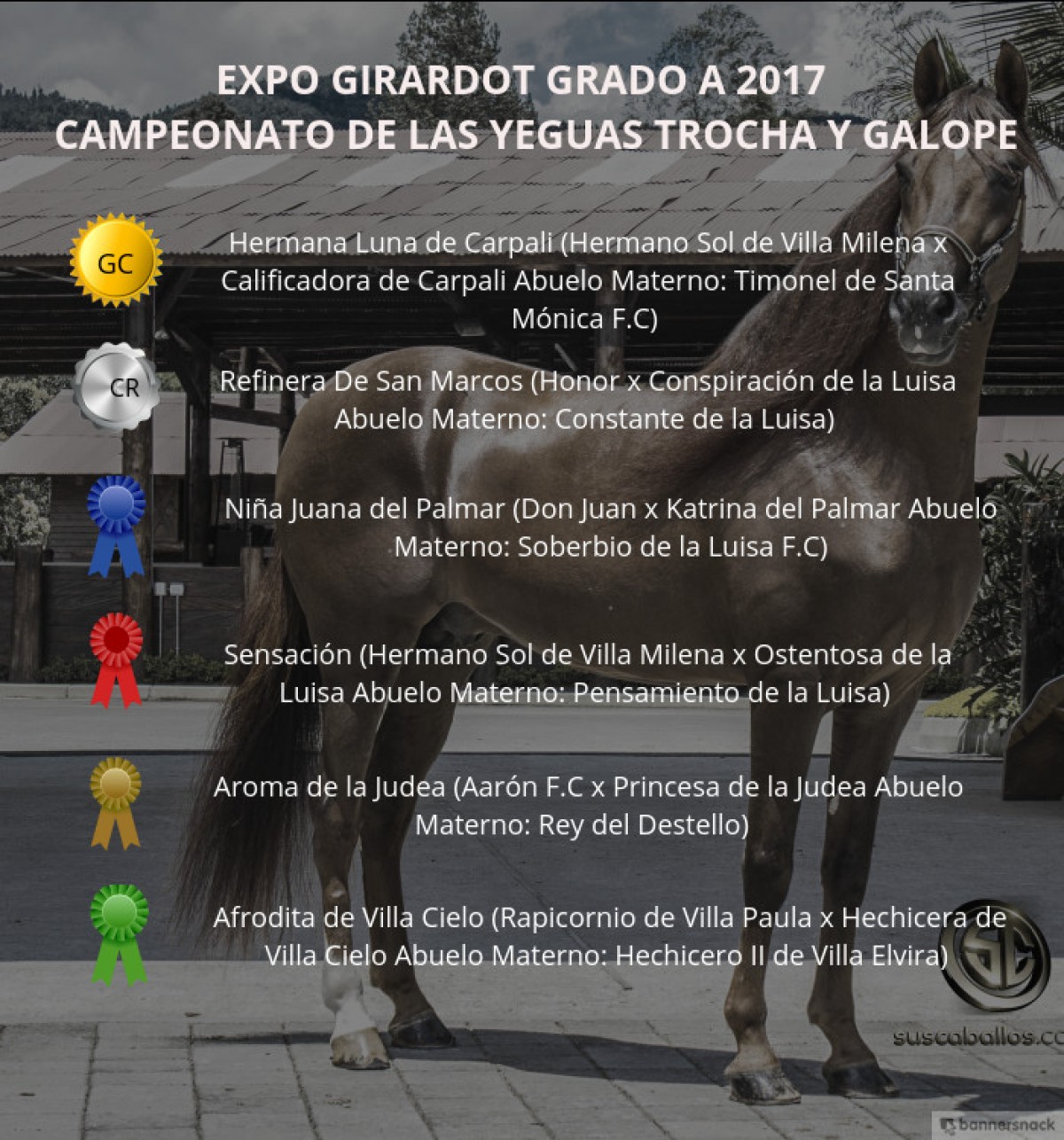 VÍDEO: Hermana Luna Campeona, Refinera Reservada, Trocha y Galope, Expo Girardot