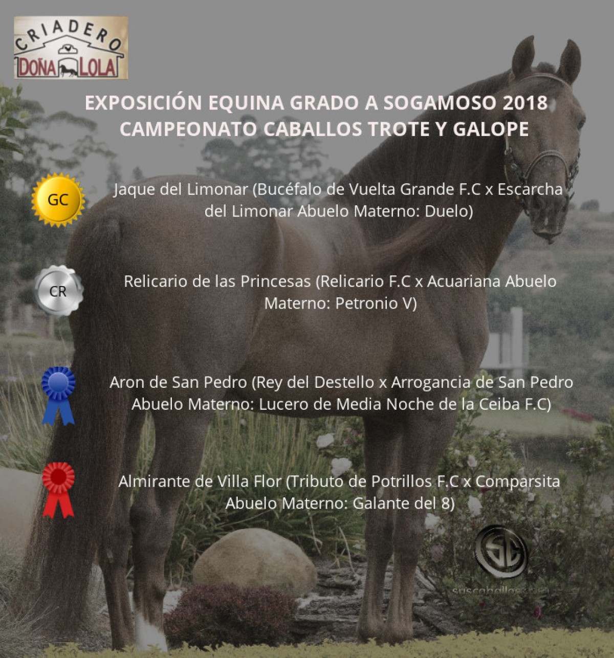 VÍDEO: Jaque Campeón, Relicario Reservado Trote Y Galope, Sogamoso 2018