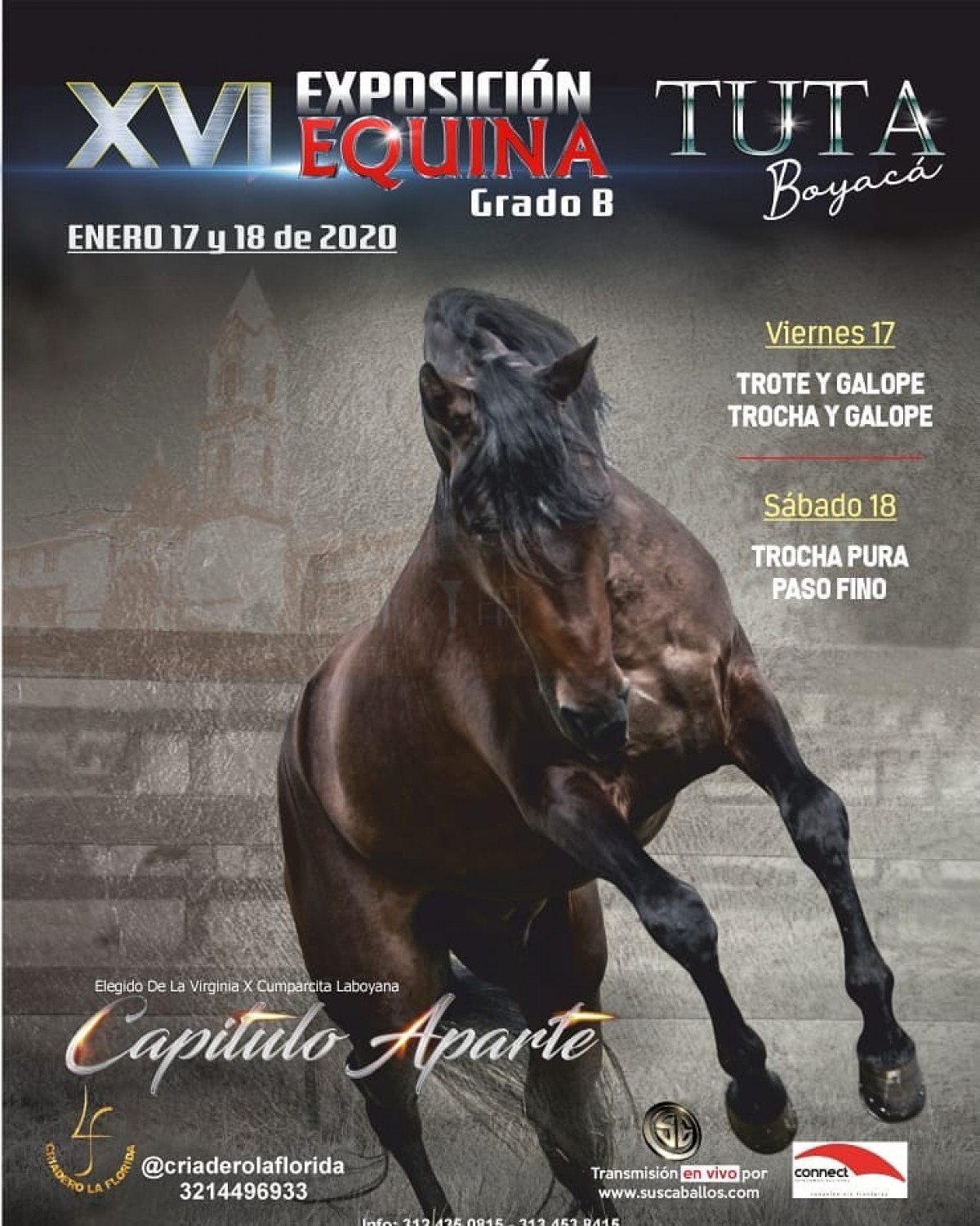 TRANSMISIÓN XVI Exposición Equina Grado B TUTA - Boyacá, 17 y 18 Enero 2020