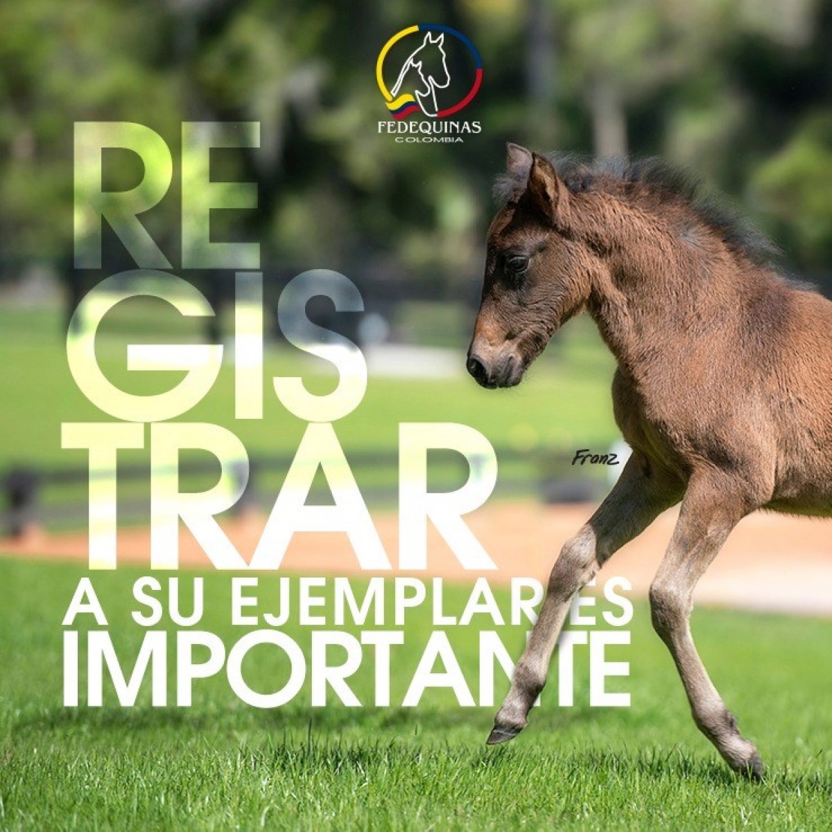 EDEQUINAS Registrar a tus Ejemplar es Importante