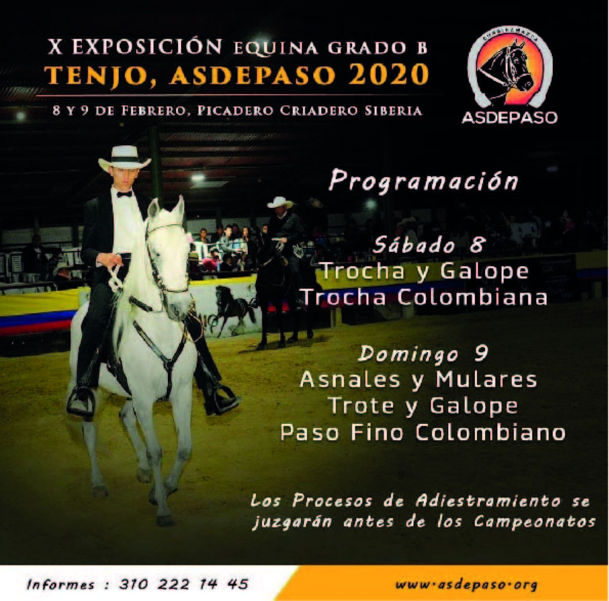 X Exposición Equina Grado B, Tenjo, Asdepaso 2020, 8 y 9 de febrero