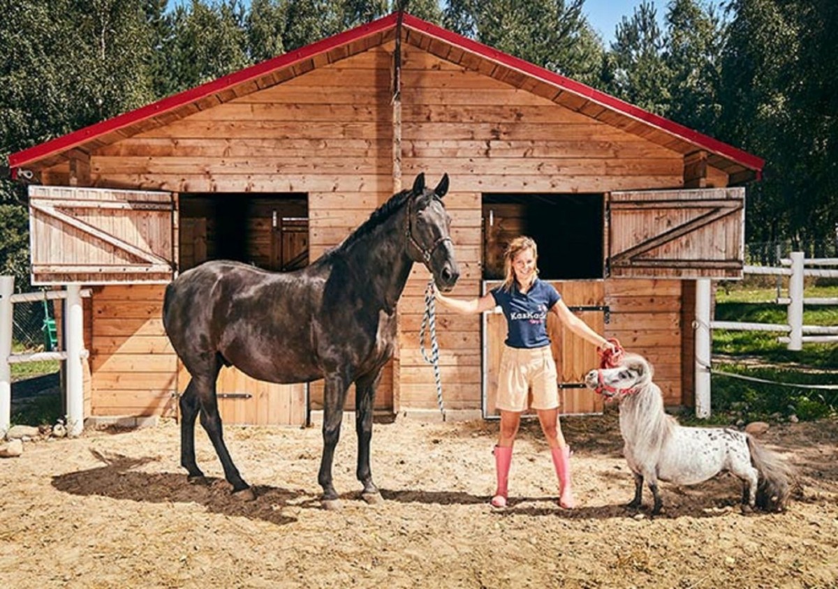 El caballo más pequeño del mundo