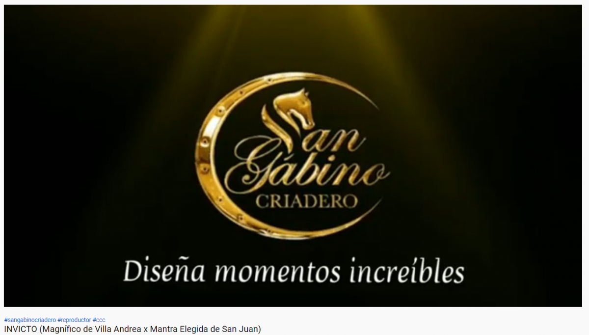 VIDEO: INVICTO  NUEVO INTEGRANTE DE SAN GABINO CRIADERO