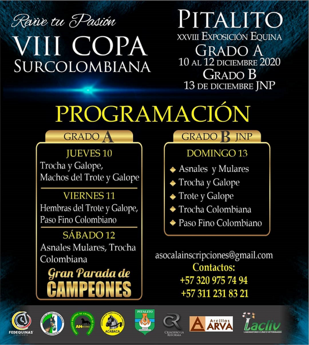 Programación VIII COPA SURCOLOMBIANA - Pitalito Grado A 