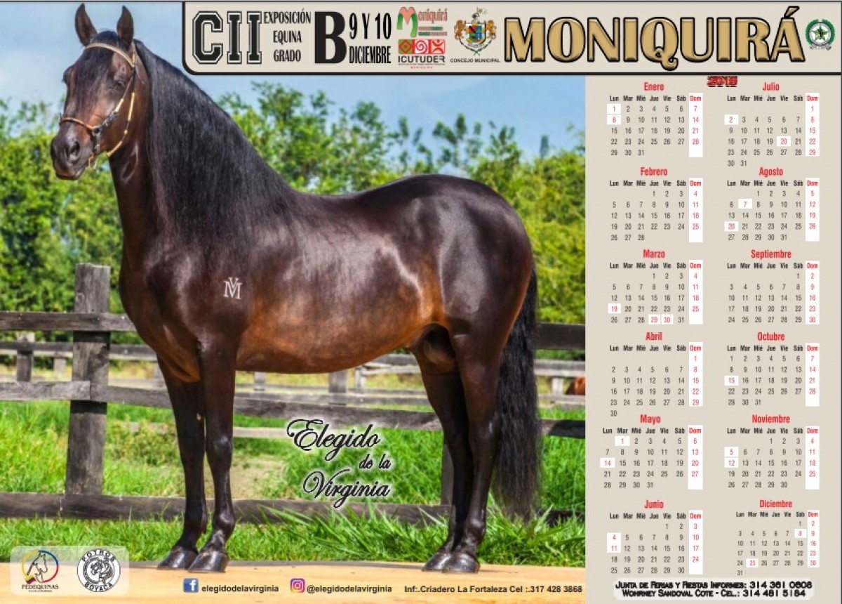CII Exposición Equina Grado B, Moniquirá - Diciembre 9 y 10!!