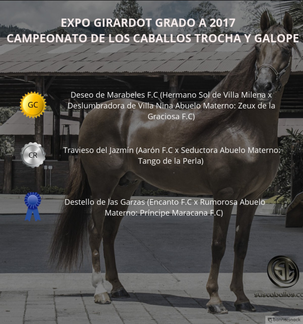 VÍDEO: Deseo Campeón, Travieso Reservado, Trocha Y Galope, Expo Girardot 2017