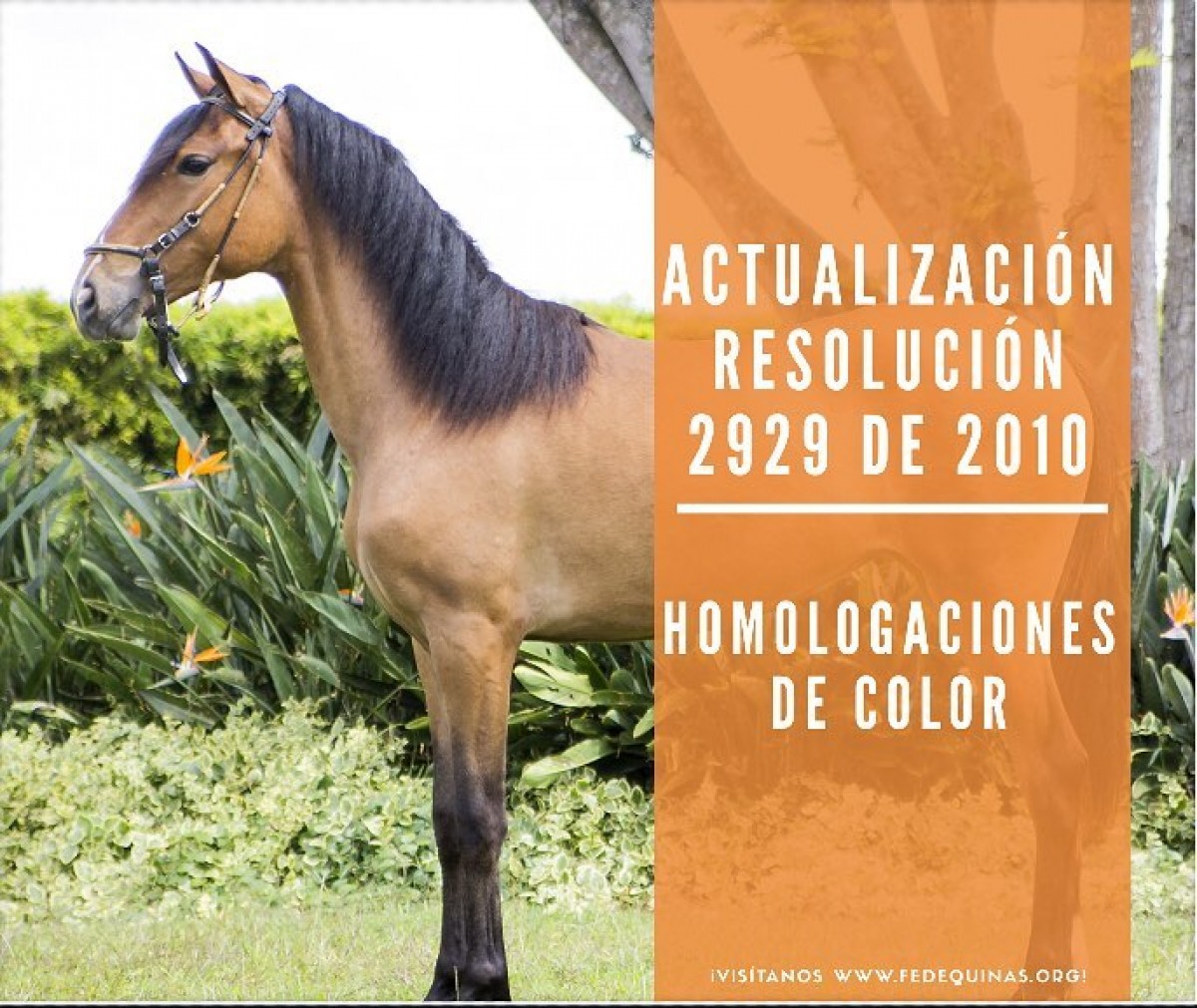 Fedequinas: Homologación Por Color, Actualización de la Resolución 2929 del 2010 