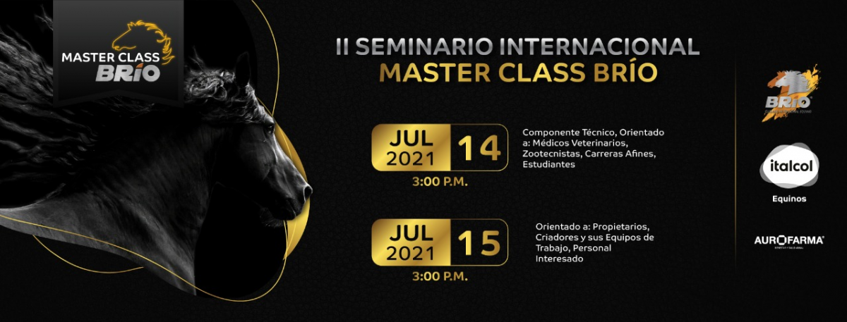  II SEMINARIO INTERNACIONAL MASTER CLASS BRÍO 2021