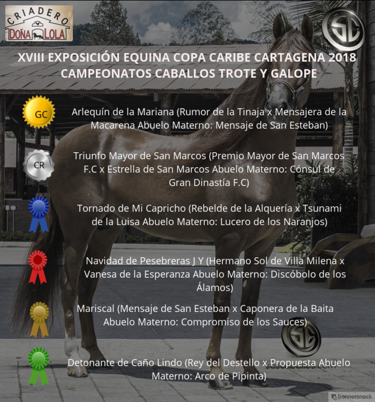VÍDEO: Arlequín Campeón, Triunfo Reservado, Trote Y Galope,Copa Caribe Cartagena