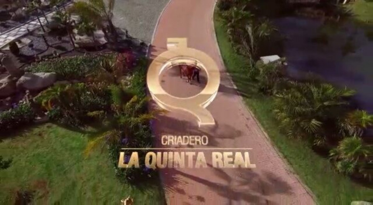 VÍDEO:Criadero La Quinta Real,Primera Venta Virtual Equina En Vivo Y En Directo