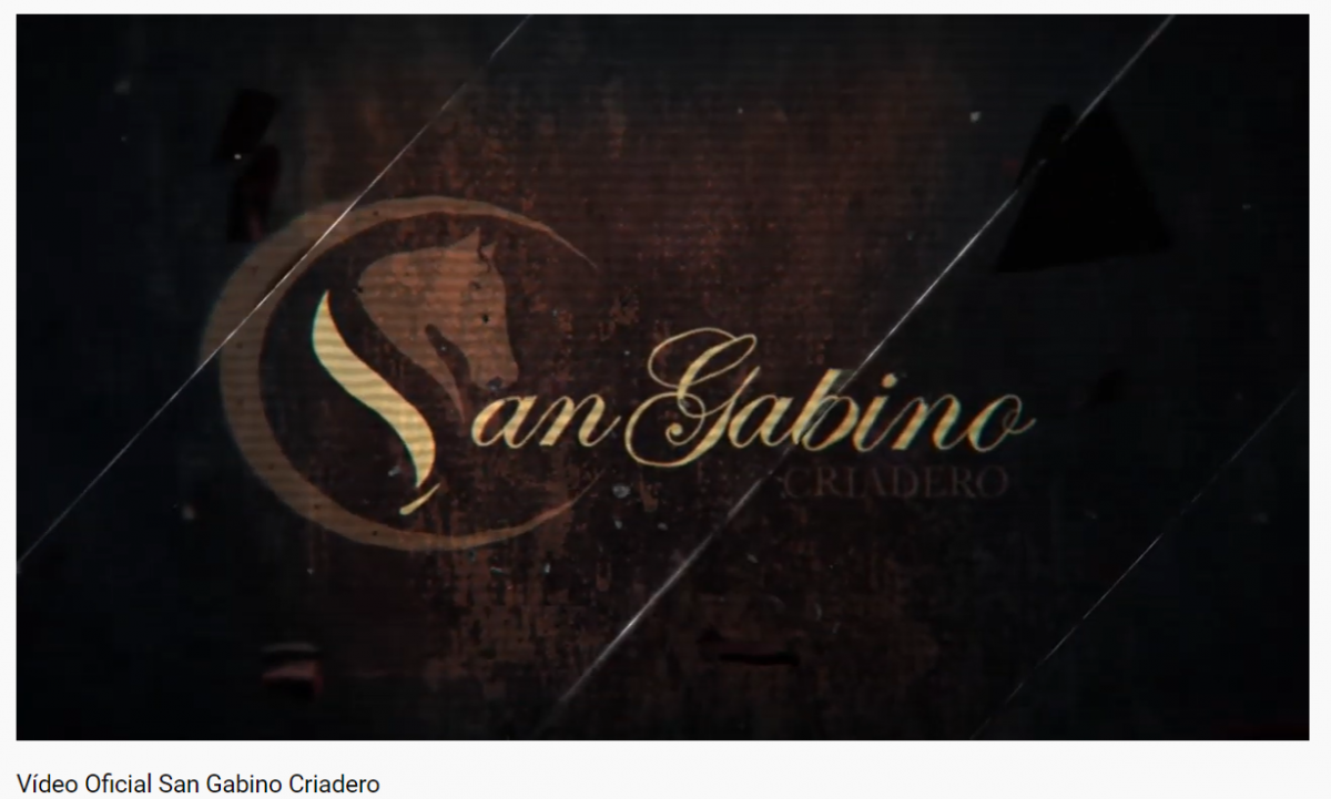 Video Oficial  San Gabino Criadero