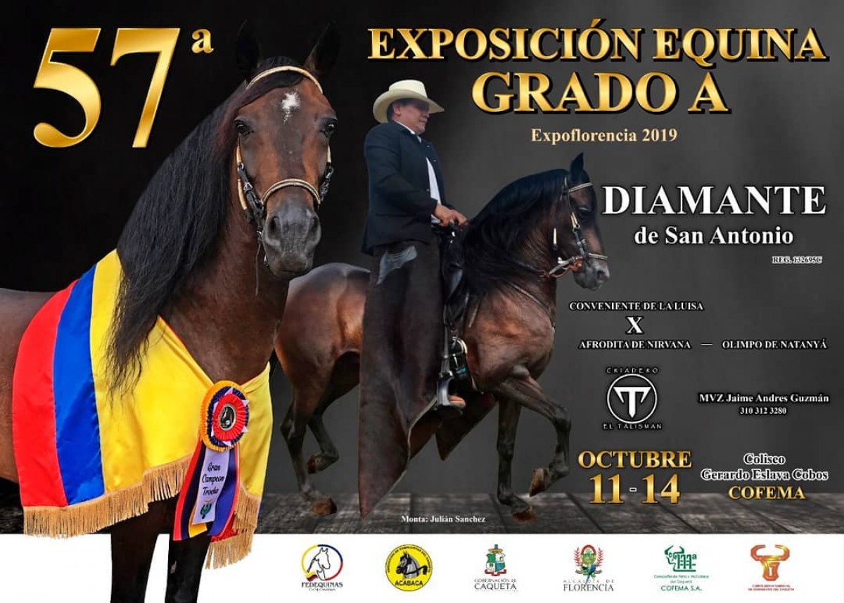 TRANSMISI&Oacute;N 57a Exposici&oacute;n Equina Grado A Expoflorencia, 11 Al 14 Octubre