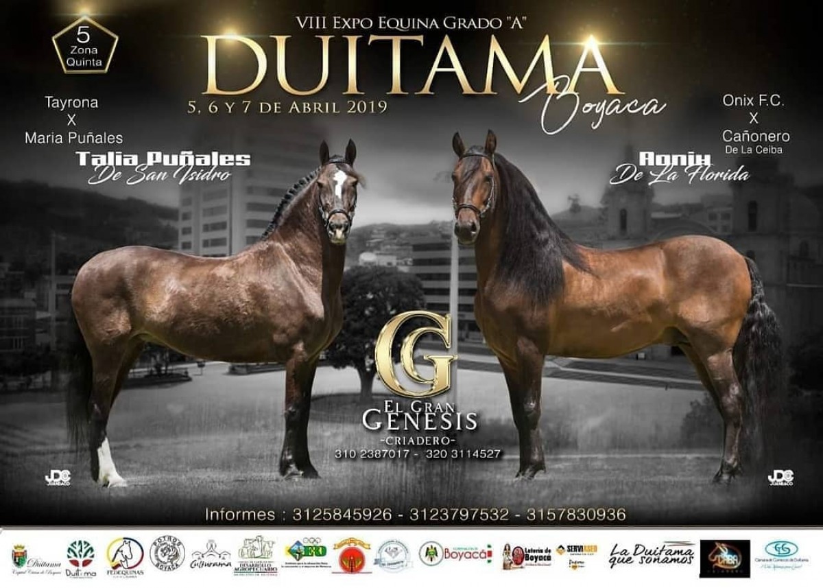 RESULTADOS VIII Exposición Equina Grado A Duitama 2019 - TROCHA COLOMBIANA