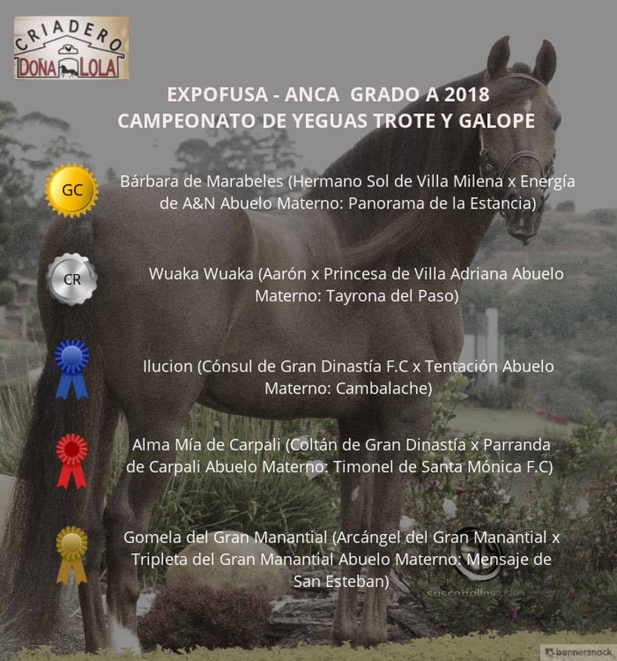 VÍDEO: Bárbara Campeona, Wuaka Wuaka Reservada, Expofusa Grado A 2018