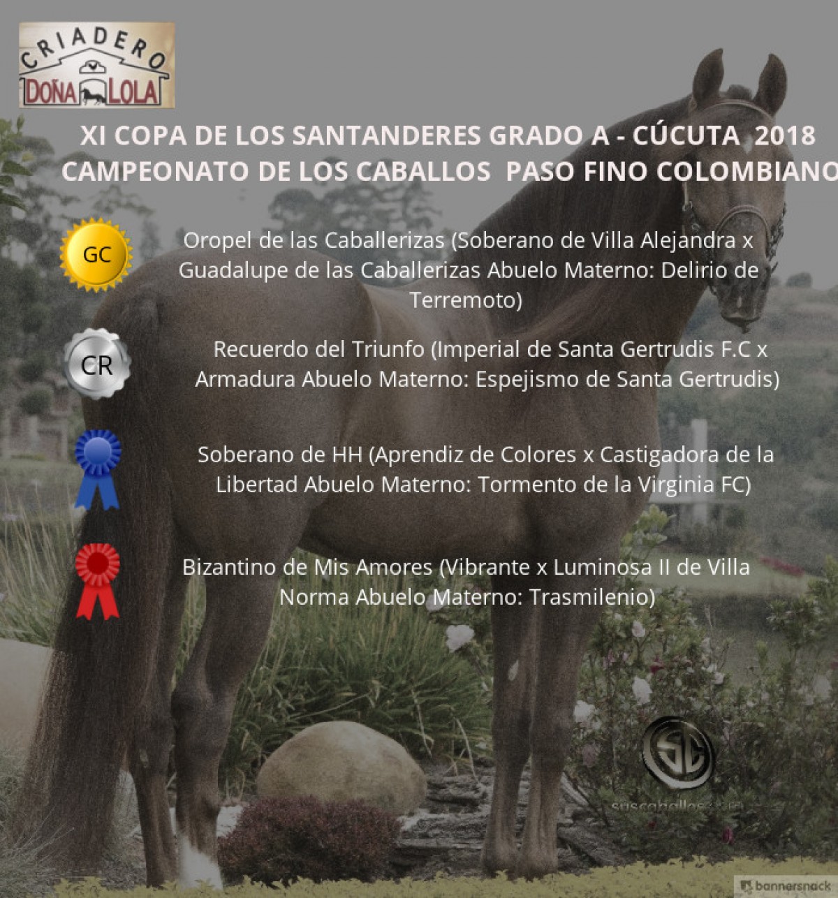 VÍDEO: Oropel Campeón, Recuerdo Reservado, Paso Fino Colombiano, Cúcuta 2018