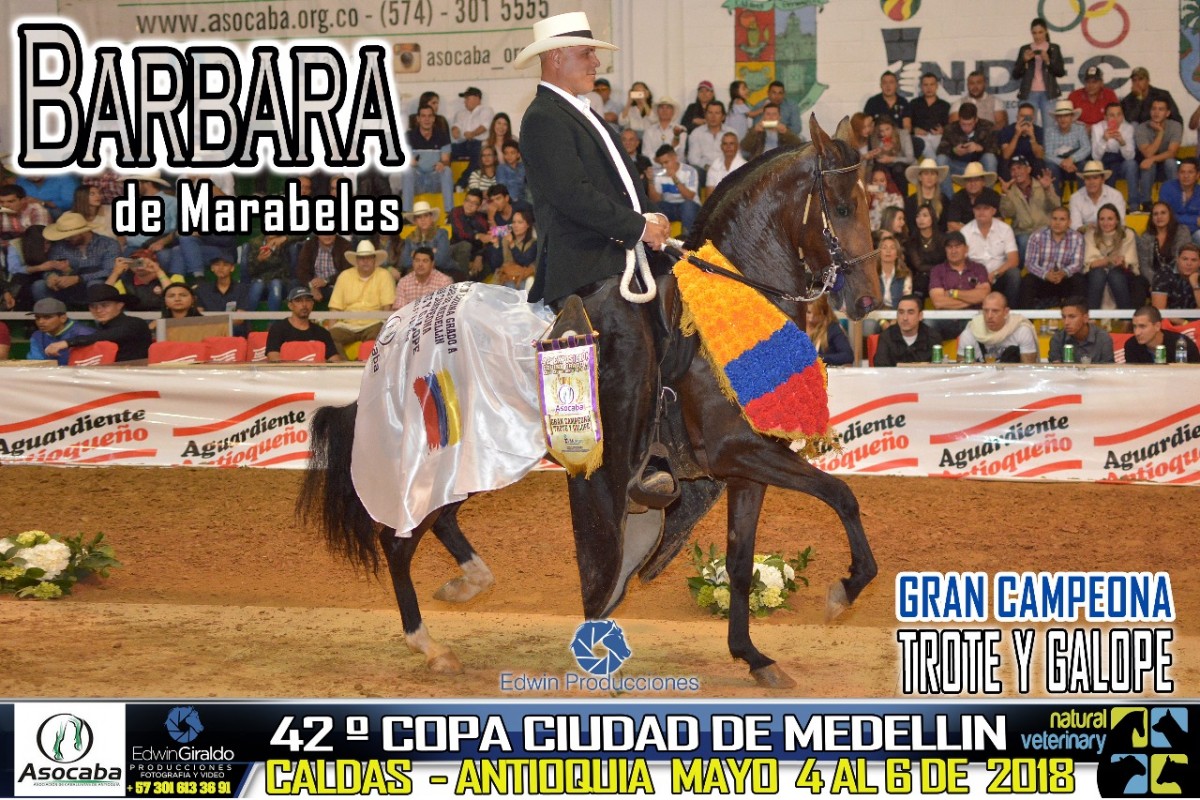 RESULTADOS 42 Copa Ciudad de Medellín Grado A, Asocaba - TROTE Y GALOPE