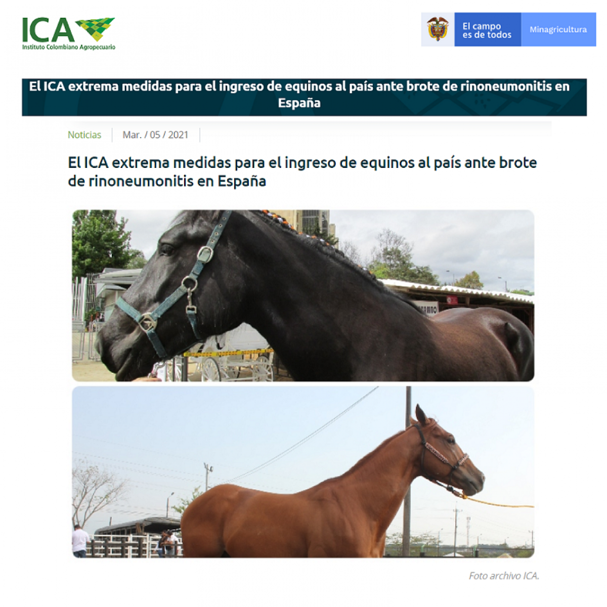 El ICA extrema medidas para el ingreso de equinos al país ante brote de rinoneumonitis en España