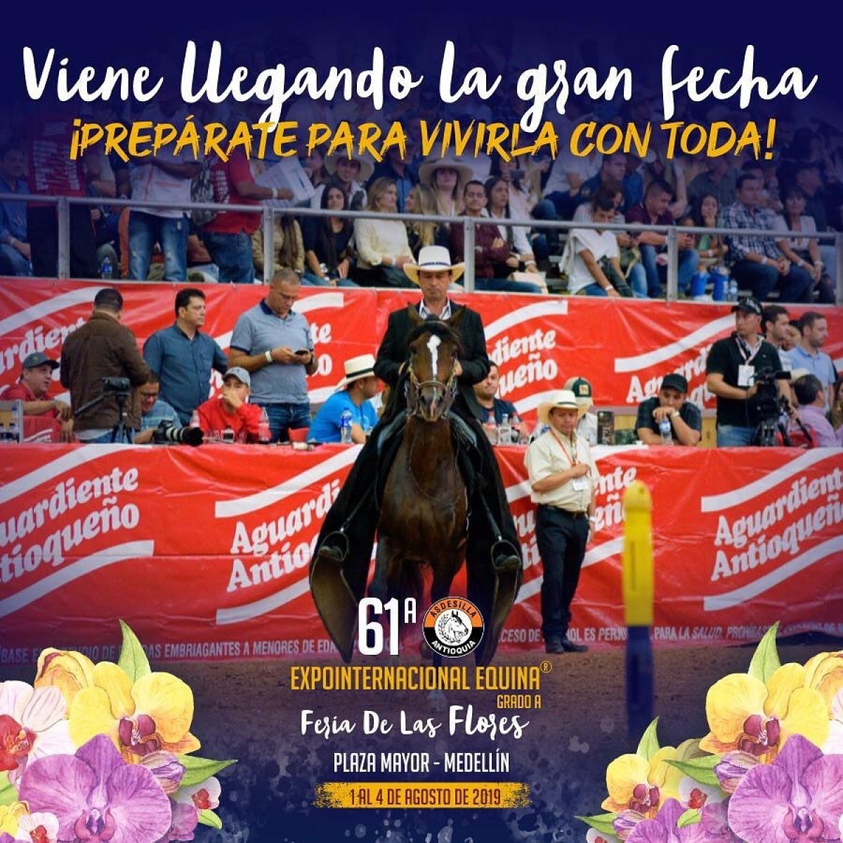 TRANSMISIÓN 61 Expointernacional Equina Grado A Feria de Flores,1 al 4 de Agosto