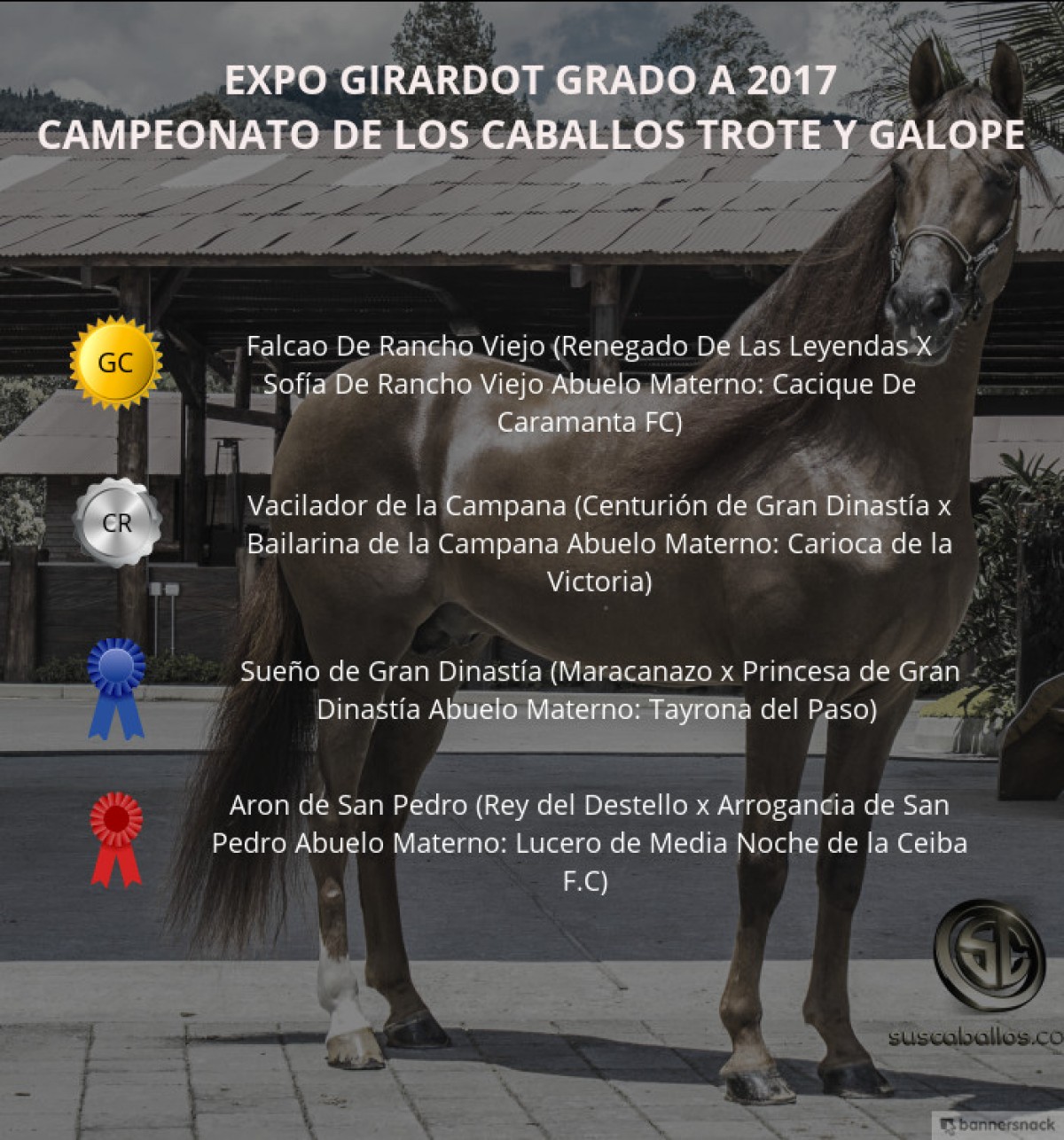 V&Iacute;DEO: Falcao Campe&oacute;n, Vacilador Reservado, Trote Y Galope, Expo Girardot 2017