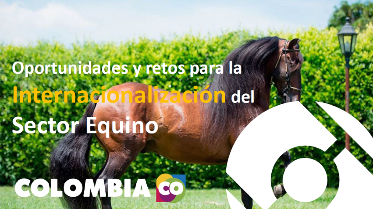 Oportunidades y retos para la Internacionalización del Sector Equino Procolombia