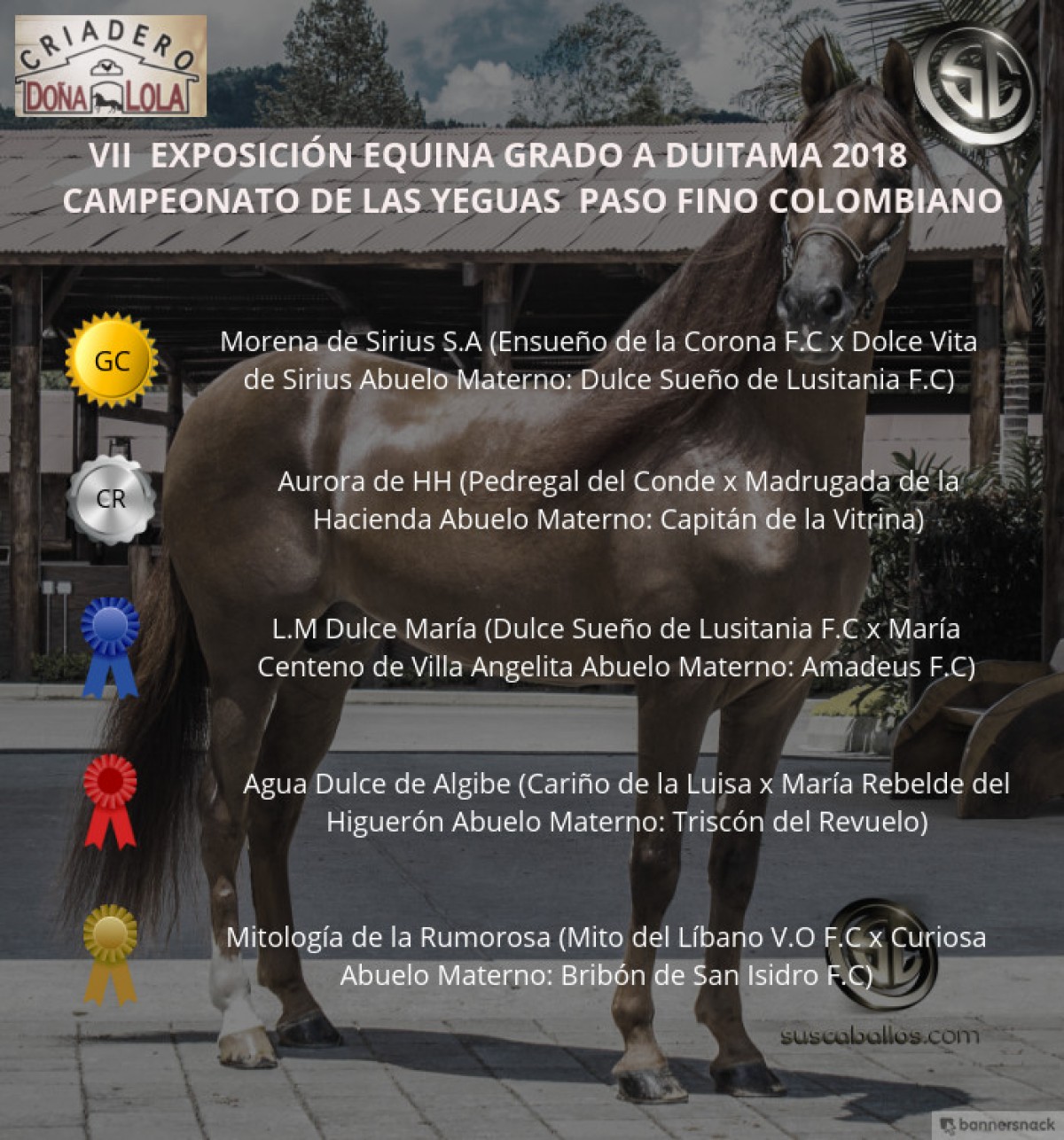 VÍDEO: Morena Campeona, Aurora Reservada, Paso Fino Colombiano, Duitama 2018