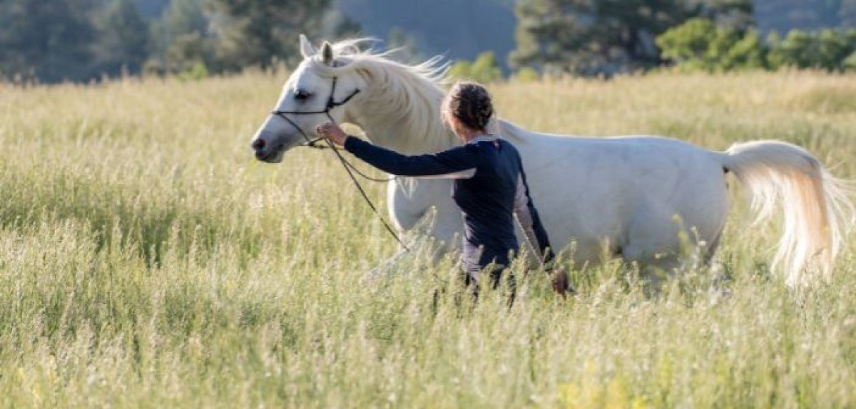 Conexión mental: cuando tu caballo y tú son uno