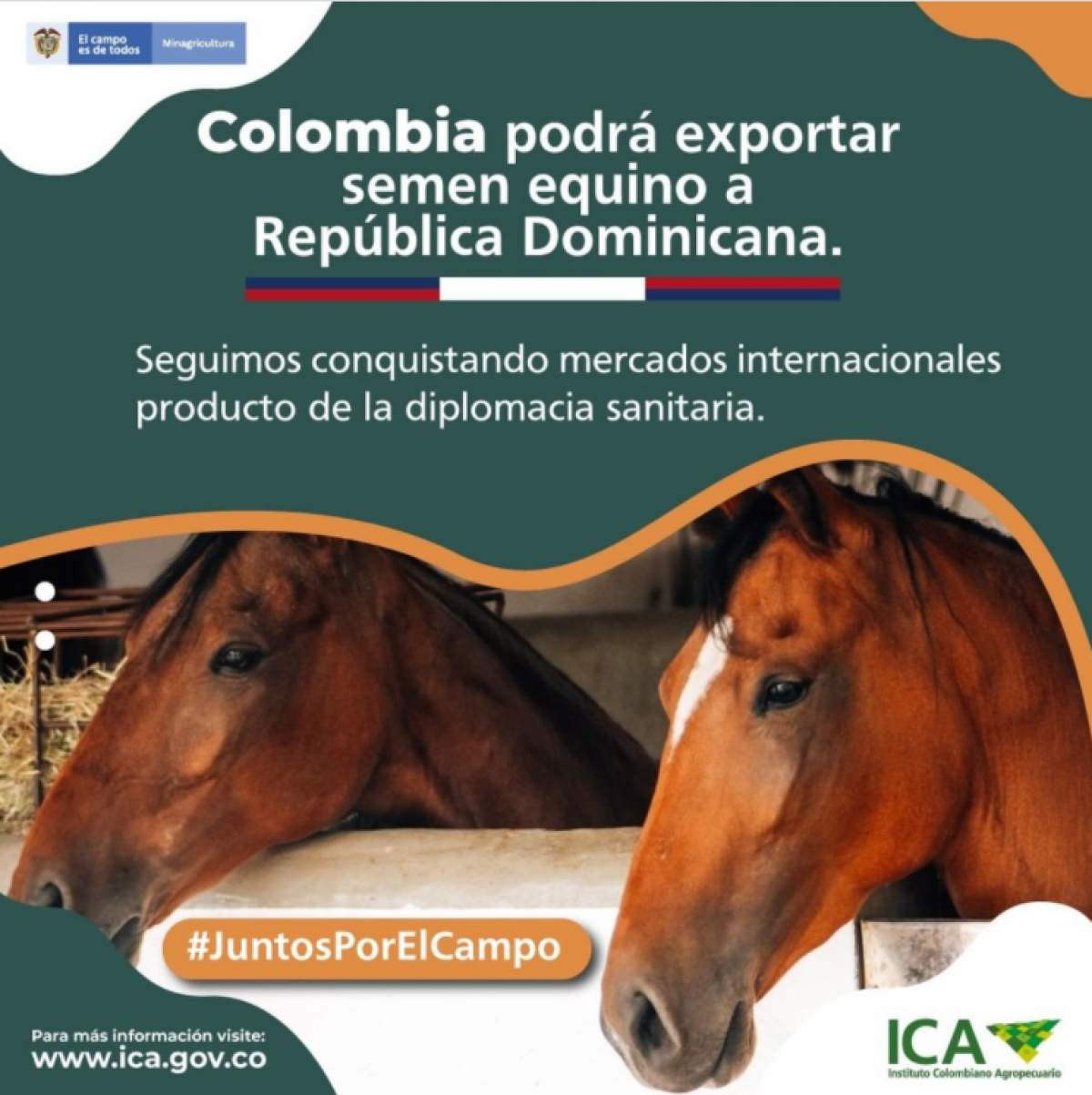 COLOMBIA PODRA EXPORTAR SEMEN EQUINO A REPUBLICA DOMINICANA