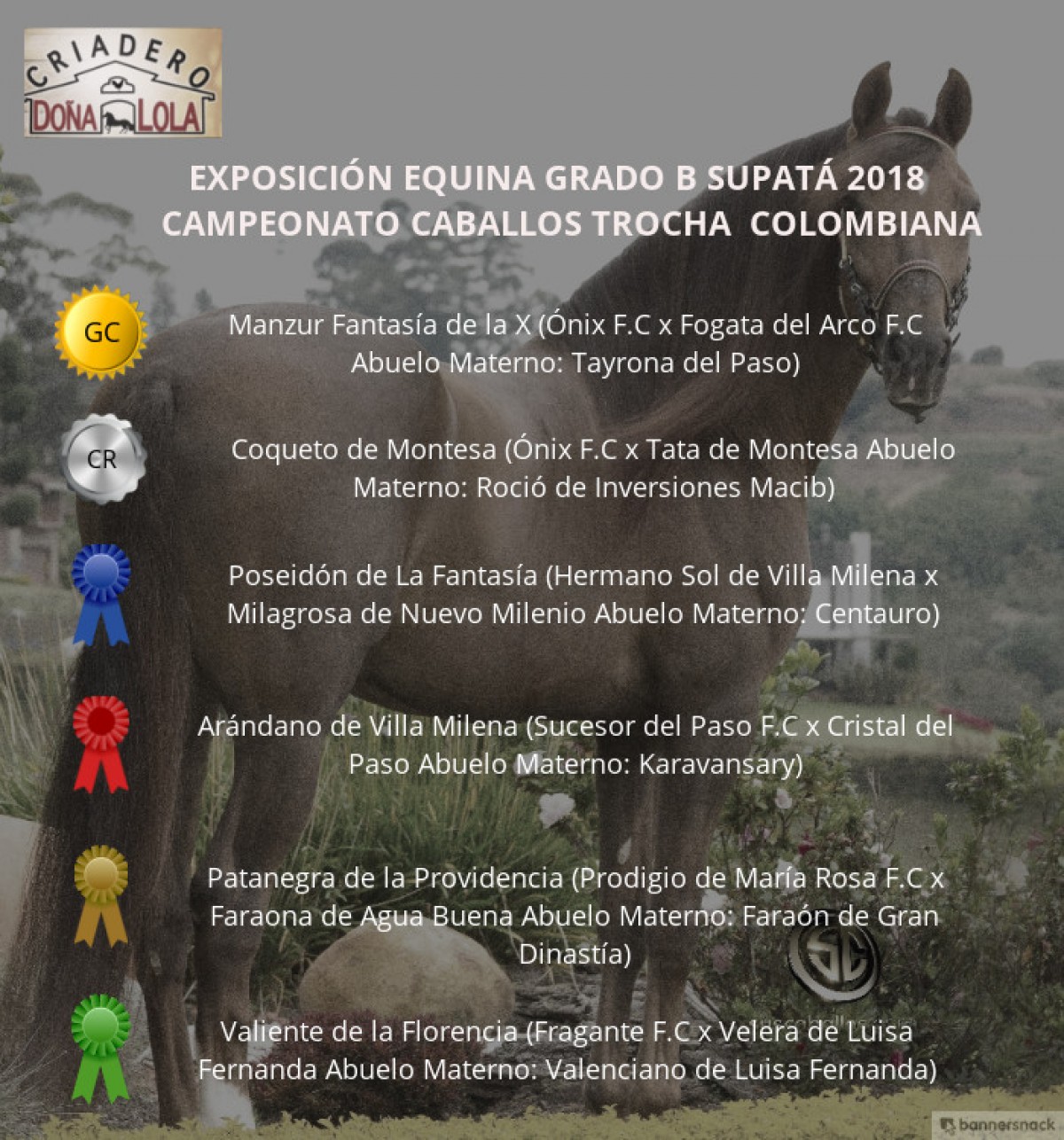 V&Iacute;DEO: Manzur Campe&oacute;n, Coqueto Reservado, Supat&aacute; Grado B 2018