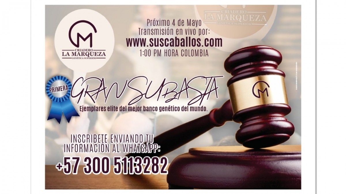 Lote 5 de la GRAN SUBASTA VIRTUAL!!..