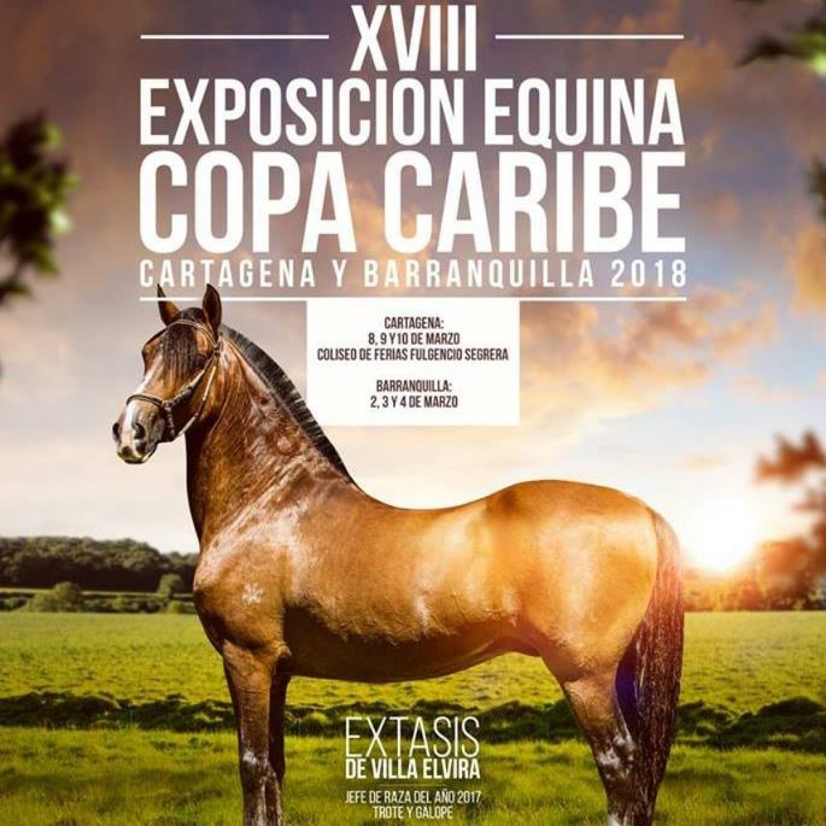 RESULTADOS XVIII Exposición Equina Copa Caribe Cartagena 2018 - TROTE Y GALOPE!!