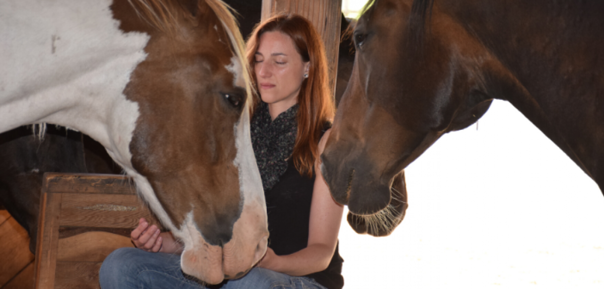 ¿De qué manera los caballos nos conducen a la coherencia cardíaca?