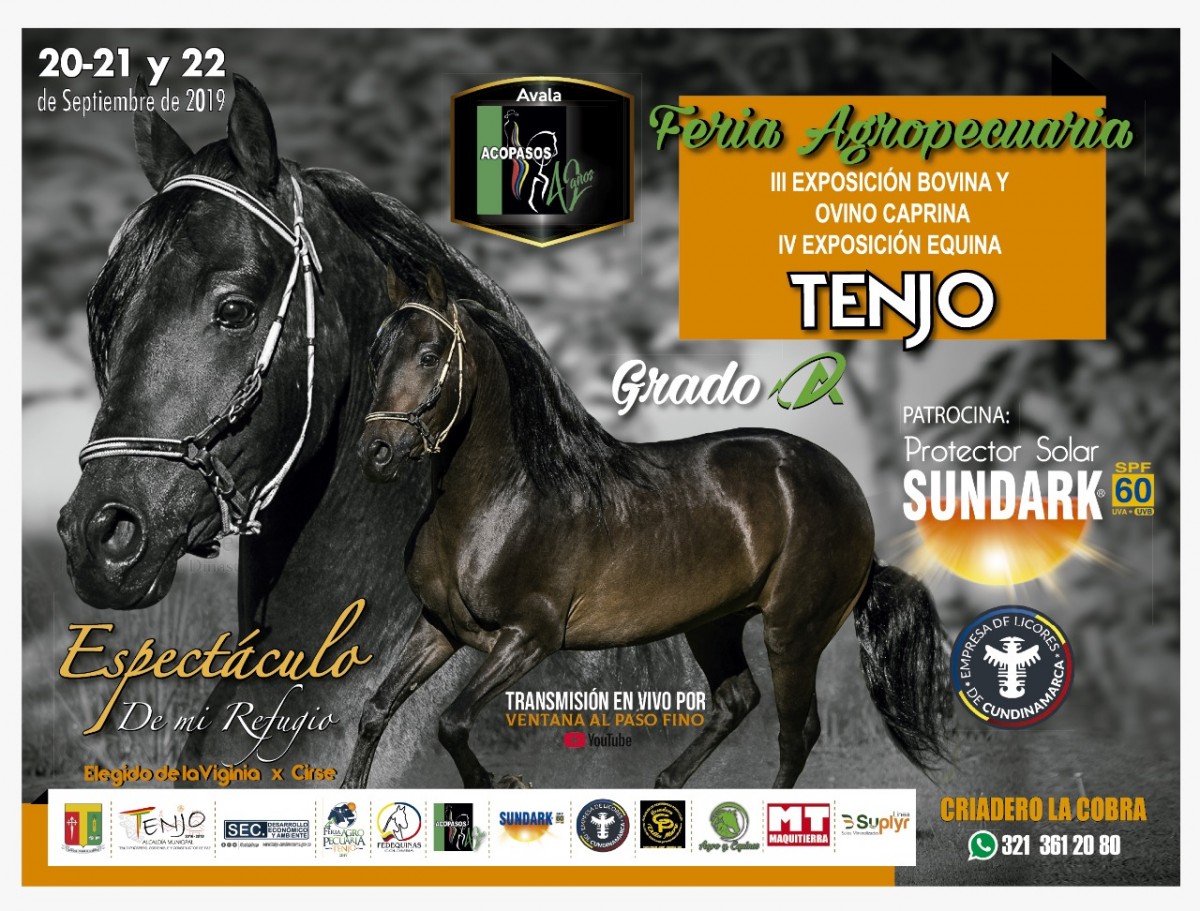 TRANSMISI&Oacute;N IV Exposici&oacute;n Equina Grado A Tenjo, 20 al 22 de Septiembre