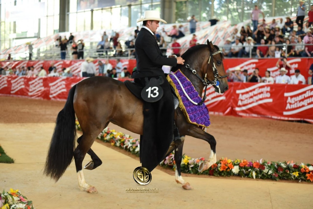 RESULTADOS 60 años Expointernacional Equina Feria de Flores 2018 - TROTE Y GALOPE
