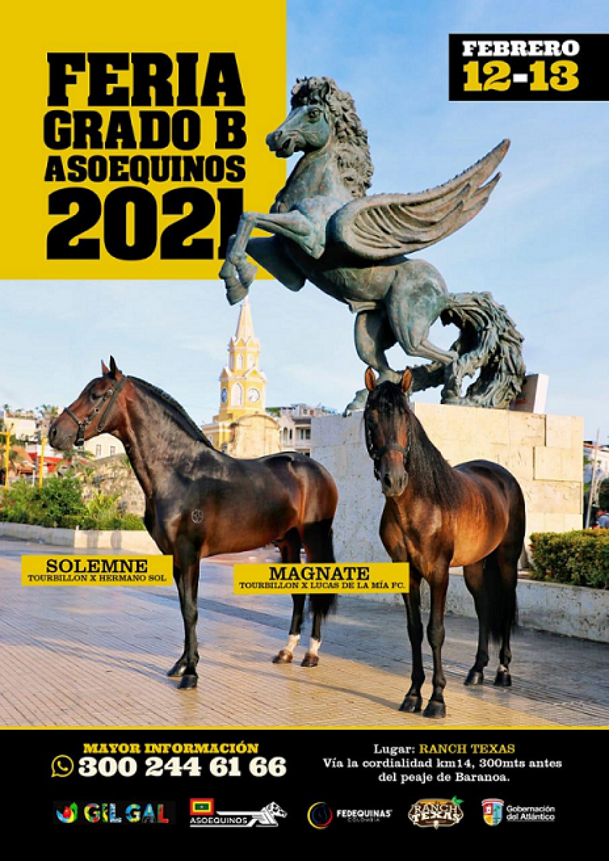 Feria Grado B ASOEQUINOS 2021