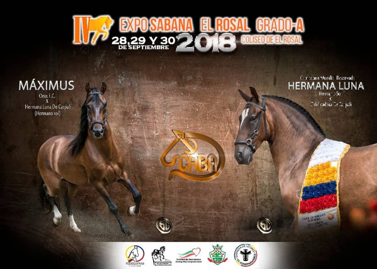 RESULTADOS IV Exposabana Grado A el Rosal 2018 - TROCHA Y GALOPE