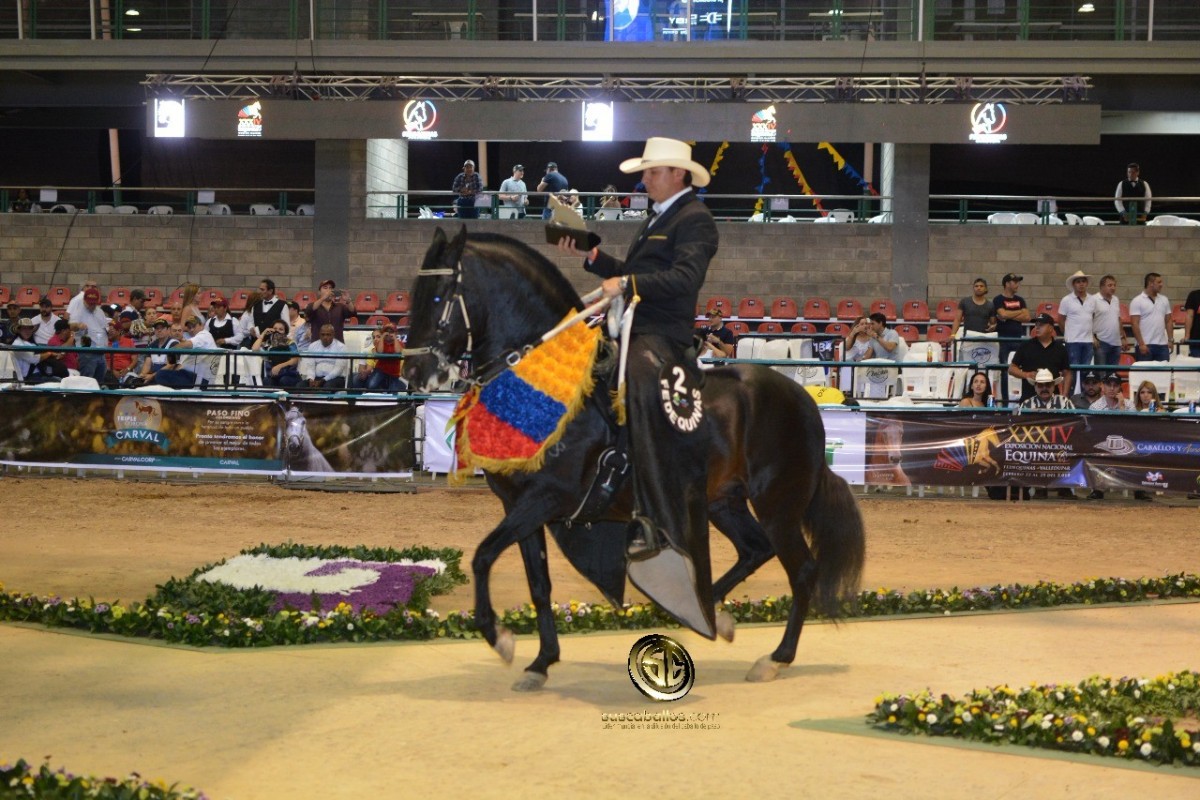 VÍDEO: Caballero Campeón, Travieso Reservado, Trocha y Galope, Nacional 2018