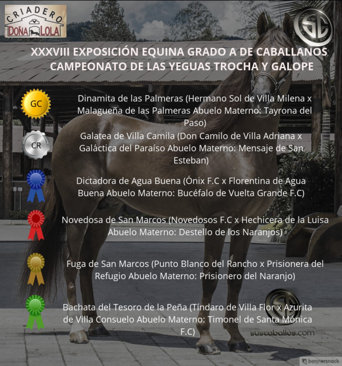 VÍDEO: Dinamita Campeona, Galatea Reservada, Trocha y Galope, Caballanos 2018