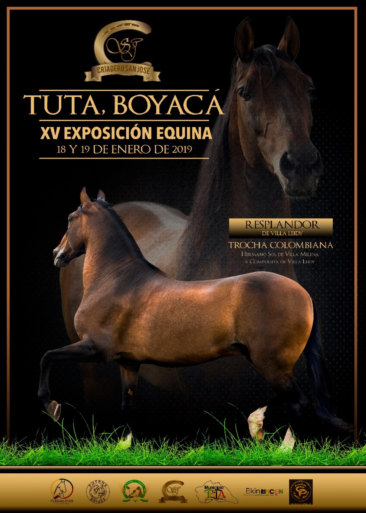 RESULTADOS XV Exposición Equina Tuta - Boyacá Grado B 2019 - TROCHA COLOMBIANA