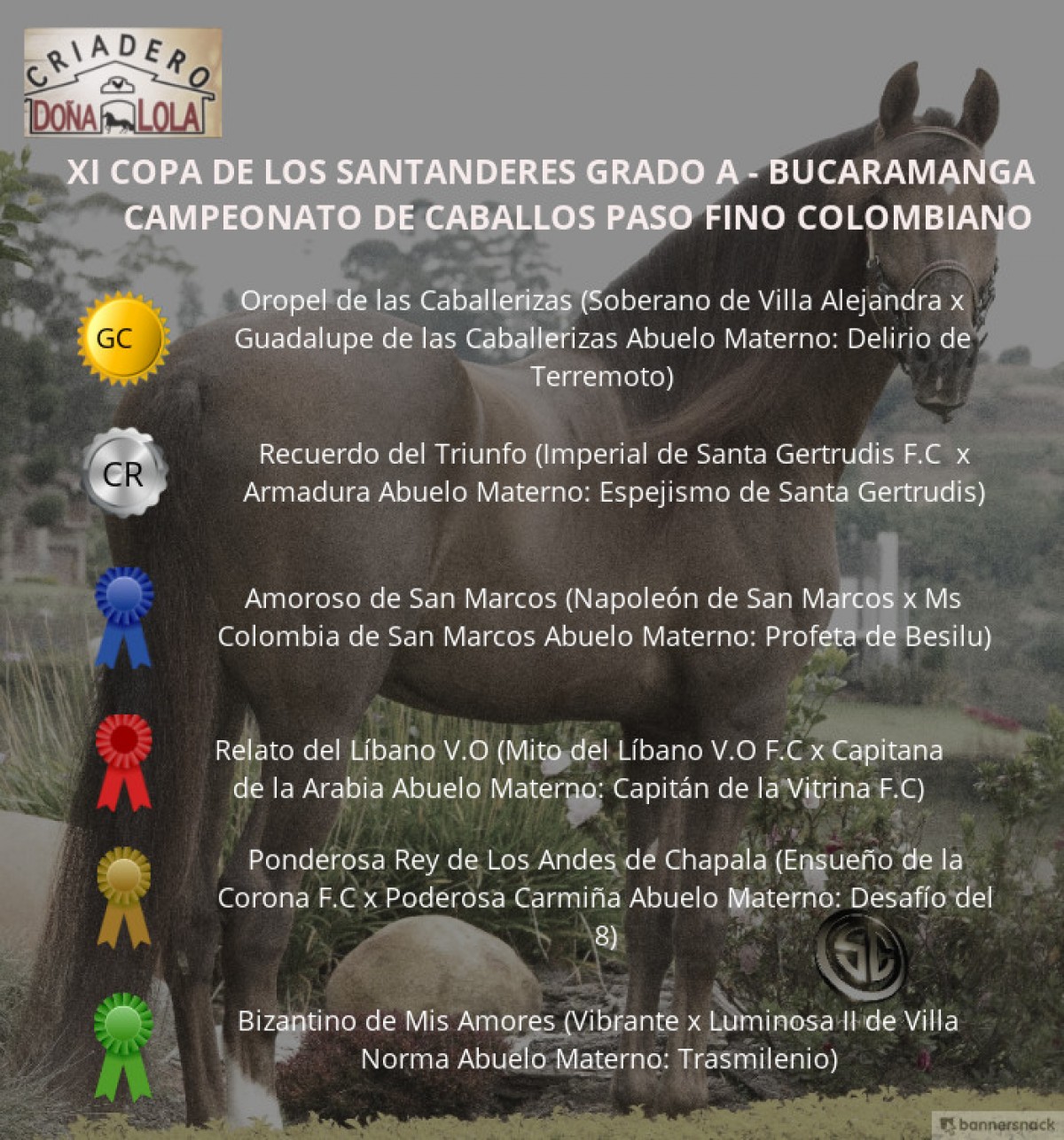 VÍDEO:Oropel Campeón, Recuerdo Reservado, Paso Fino Colombiano, Bucaramanga 2018