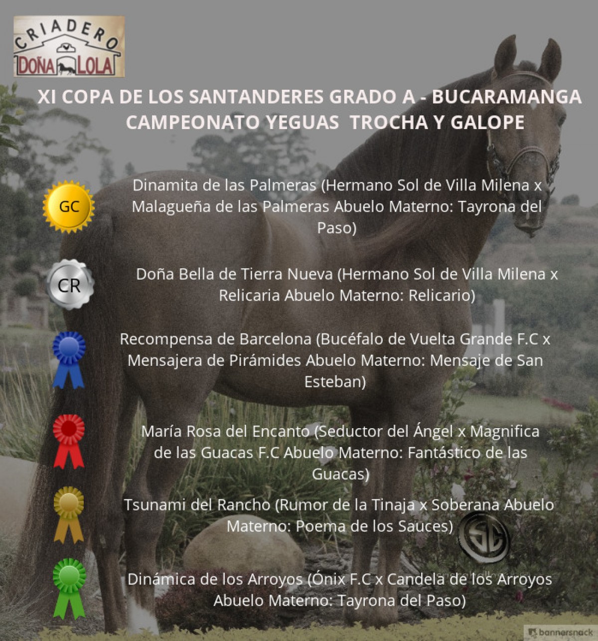 VÍDEO: Dinamita Campeona, Doña Bella Reservada, Trocha y Galope, Bucaramanga