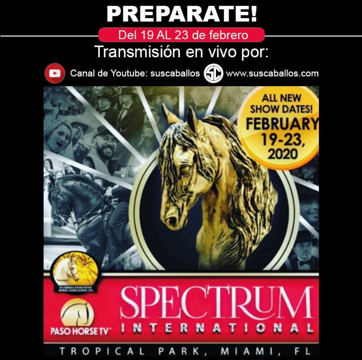 SPECTRUM INTERNACIONAL - TROPICAL PARK, MIAMI, FLORIDA - DEL 19 AL 23 DE FEBRERO