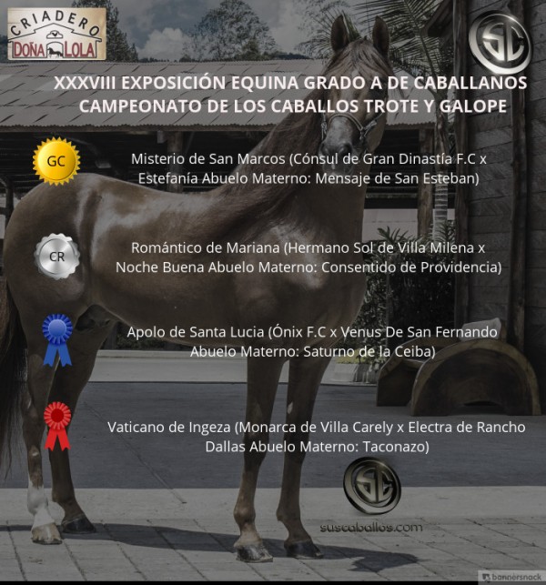 https://suscaballos.com/VÍDEO: Misterio Campeón, Romántico Reservado, Trote Y Galope, Caballanos 2018