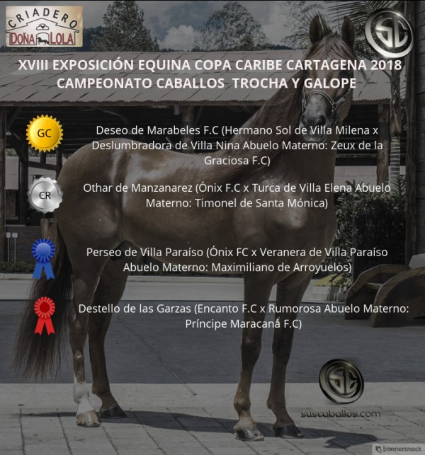 https://suscaballos.com/VÍDEO: Deseo Campeón, Othar Reservado, Trocha Y Galope, Copa Caribe Cartagena