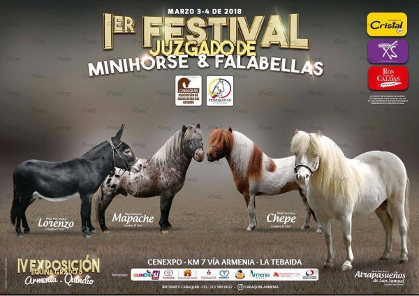 https://suscaballos.com/I Festival Juzgado de Minihorse Y Falabellas, 3 y 4 de Marzo - Armenia